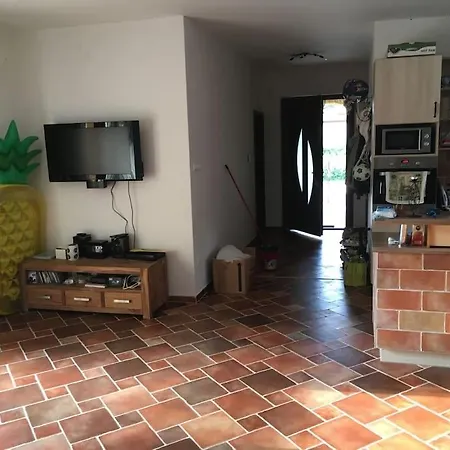 Villa House Close To Balaton Zamardi